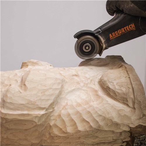 (MINI-CARVER-ACTION)MIN-FG-900img3w