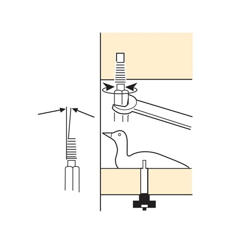 Veritas Carver's Screw