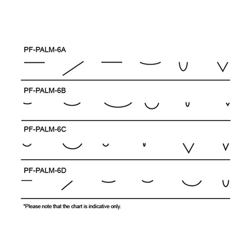 Pfeil 6 Piece Lino Palm Set - 6B